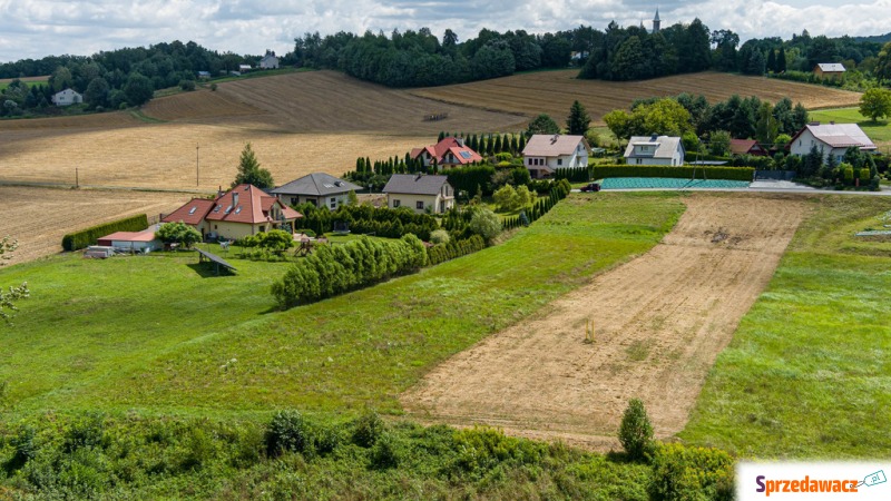 Działka Burzyn sprzedam, pow. 3662 m2  (36.6a)