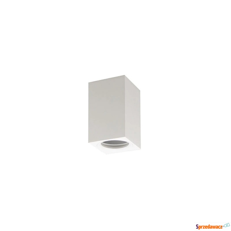 Eco Light EC79969 spot lampa sufitowa 1x35W GU10... - Pozostałe oświetlenie - Radom