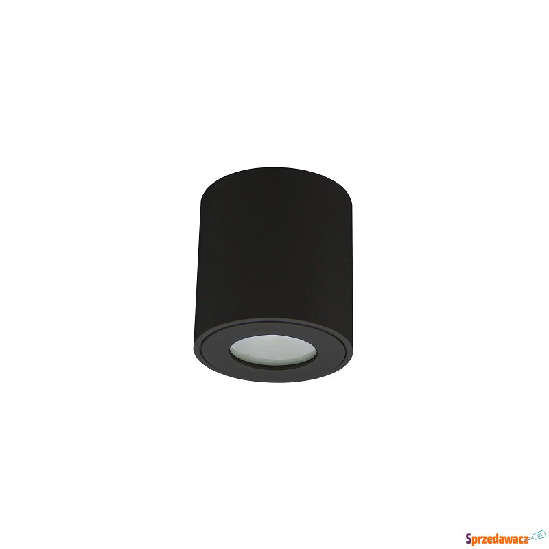 Eco Light EC79970 spot lampa sufitowa 1x35W GU10... - Pozostałe oświetlenie - Gościęcin