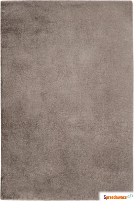 Dywan Cha Cha 80 x 150 cm taupe - Dywany, chodniki - Gdynia