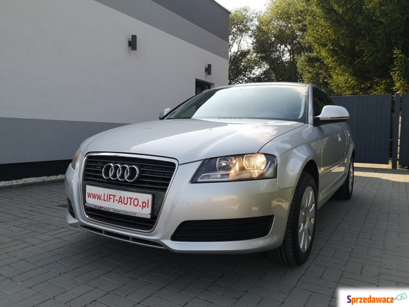 Audi A3 2009,  1.6 benzyna - Na sprzedaż za 29 900 zł - Strzegom