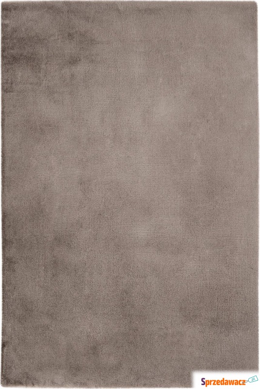 Dywan Cha Cha 160 x 230 cm taupe - Dywany, chodniki - Białystok