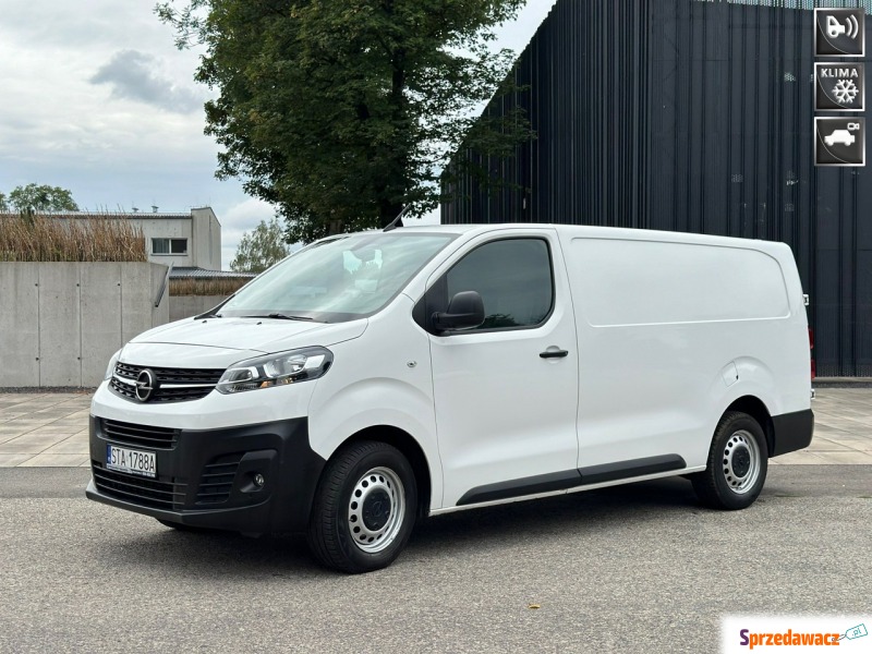 Opel Movano 2019,  2.0 diesel - Na sprzedaż za 67 404 zł - Tarnowskie Góry