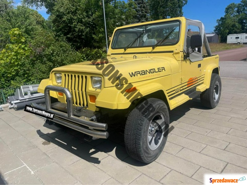 Jeep Wrangler  Terenowy 1990,  2.5 benzyna - Na sprzedaż za 39 225 zł - Kiczyce