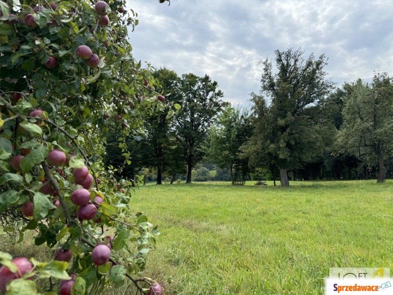 Malownicze działki budowlano-rolne w Buchcicach. - Działki na sprzedaż - Buchcice