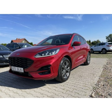 Ford Kuga - 1.5 120ps Kamera Cofania Czarny Sufit 2xPDC LED Navi ST-LINE Virtual