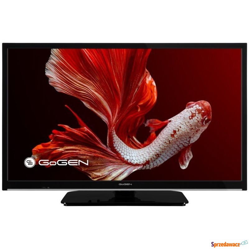 GoGEN TVH24P406STC 12V - Telewizory - Toruń