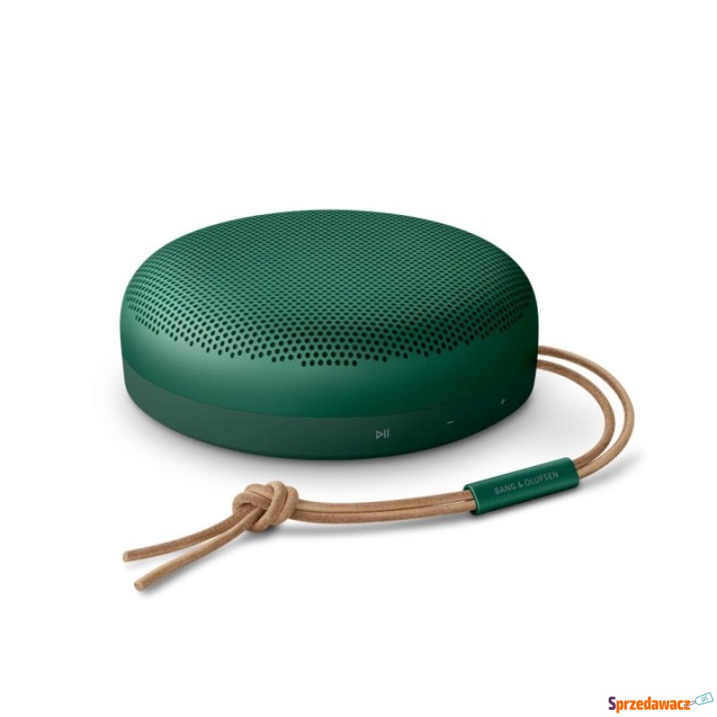 Bang & Olufsen Beosound A1 2nd Gen Green - Głośniki - Toruń