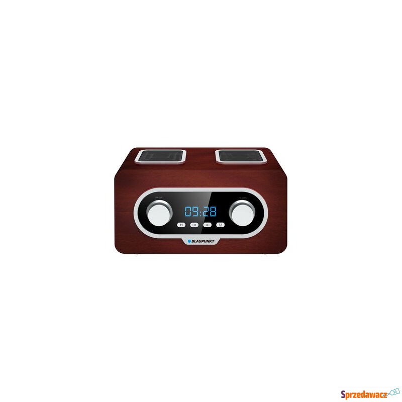 Radioodtwarzacz Blaupunkt PP5.2BR FM/SD/USB/AUX - Tunery radiowe - Tarnowskie Góry