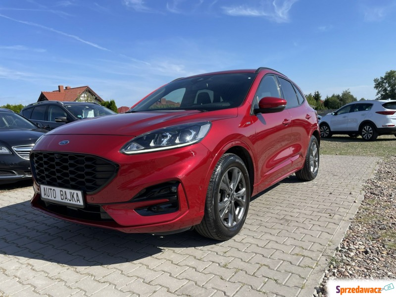 Ford Kuga - 1.5 120ps Kamera Cofania Czarny Sufit... - Samochody osobowe - Gniezno