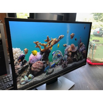 Monitor LED Dell P2417H 24"