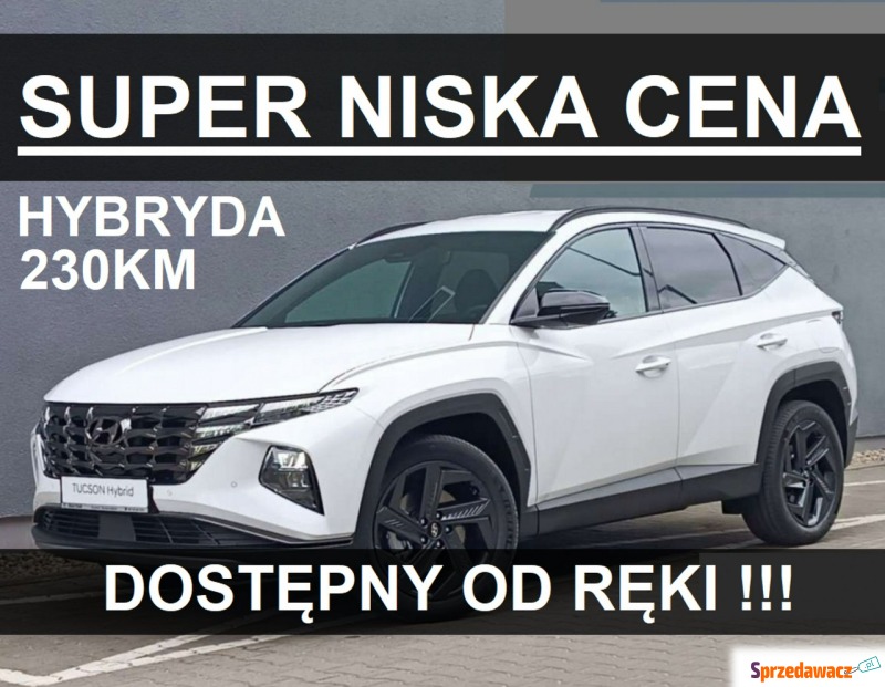 Hyundai Tucson  SUV 2024,  1.6 hybryda - Na sprzedaż za 153 200 zł - Szczecinek