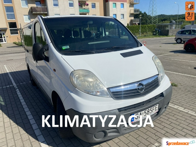 Opel Vivaro 2008,  2.0 diesel - Na sprzedaż za 21 900 zł - Wejherowo