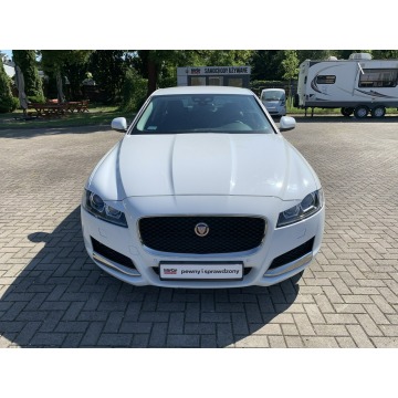 Jaguar XF  Sedan/Limuzyna 2017,  2.0 diesel, automat - Na sprzedaż za 129 899 zł - Kraków - zdjęcie 2