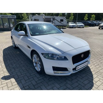 Jaguar XF  Sedan/Limuzyna 2017,  2.0 diesel, automat - Na sprzedaż za 129 899 zł - Kraków - zdjęcie 3