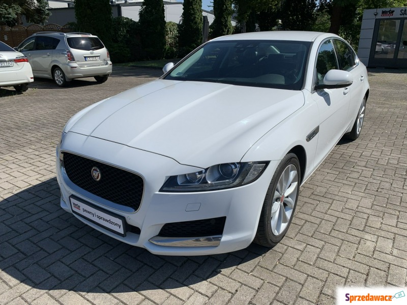 Jaguar XF 2.0d 241 KM - Samochody osobowe - Kraków