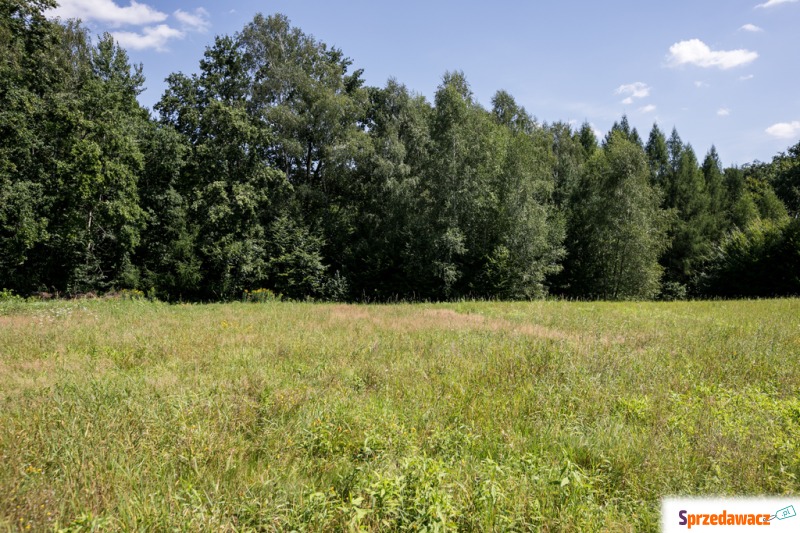 Działka Błonie sprzedam, pow. 6400 m2  (0.64ha)