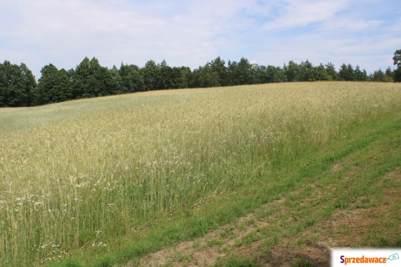 Działka budowlana Borowy Las sprzedam, pow. 1200 m2  (12a), uzbrojona