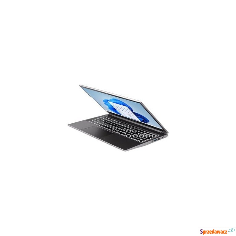 Laptop Terra TERRA MOBILE 1517 i5-1235U W11 -US - Laptopy - Legnica