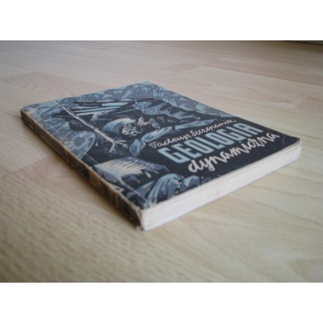 Geologia dynamiczna - Tadeusz Szczepanik - Książki - Brzegi - zdjęcie 3