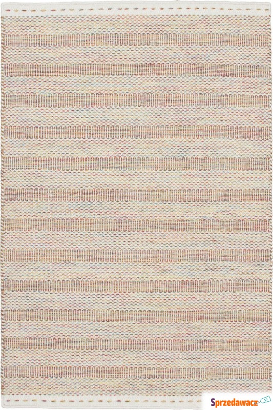 Dywan Jaipur Stripes multikolor 120 x 170 cm - Dywany, chodniki - Kraków