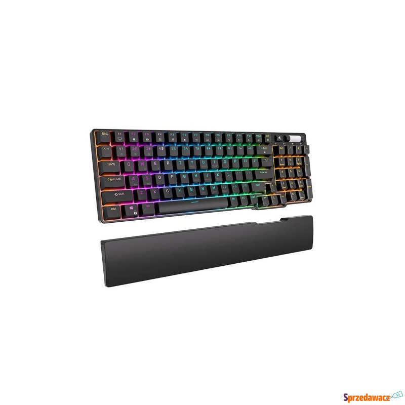 Klawiatura mechaniczna Royal Kludge RK96 RGB,... - Klawiatury - Włocławek