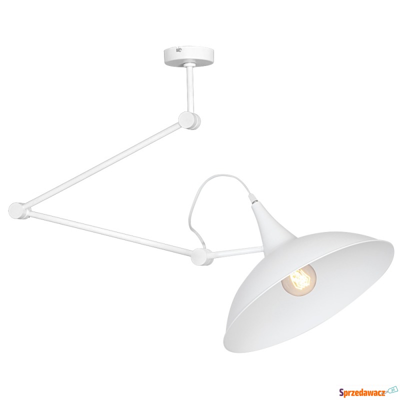 Plafon lampa oprawa sufitowa Aldex Melos 1x60W... - Lampy wiszące, żyrandole - Kutno