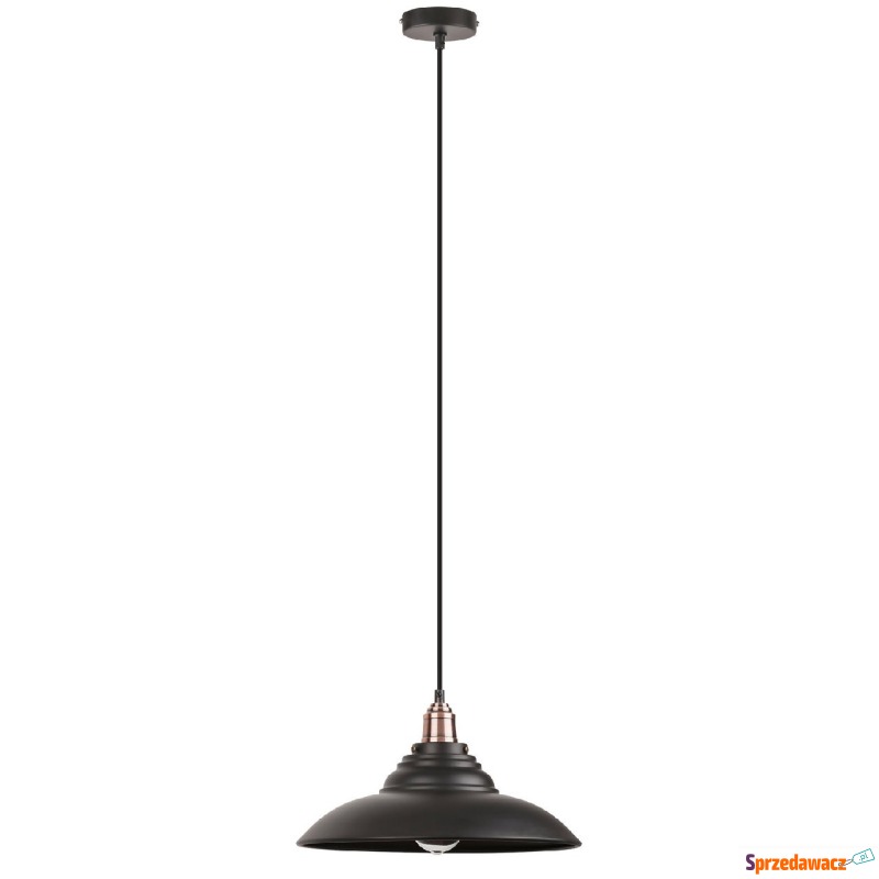 Lampa wisząca zwis oprawa Rabalux Doug 1X60W E27... - Lampy wiszące, żyrandole - Toruń