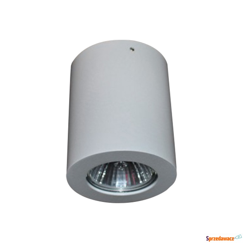 Azzardo Boris AZ1054 GM4108 Plafon lampa sufitowa... - Plafony - Radomsko