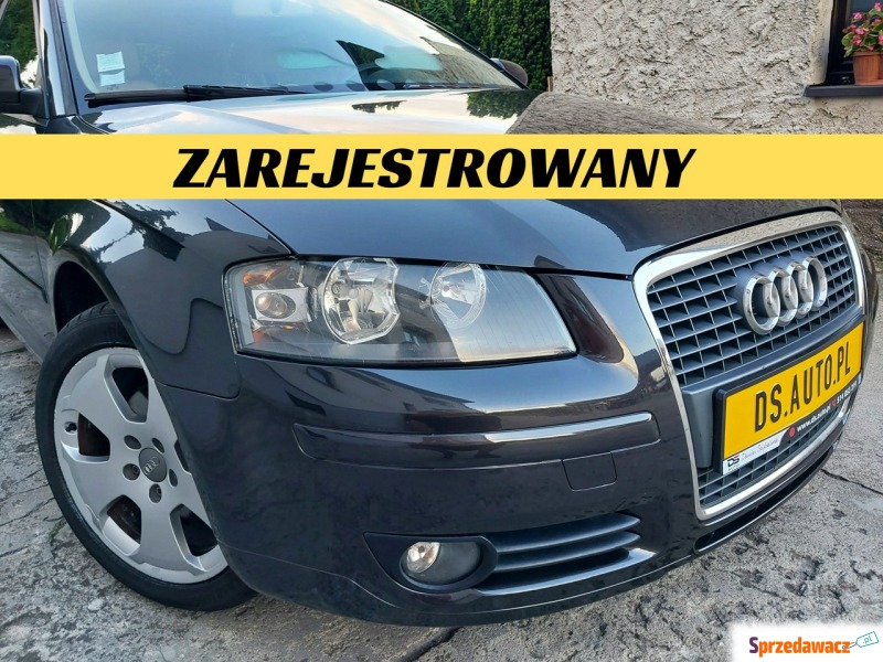 Audi A3 8P • TDI • 5 drzwi • 17'' ALU • 2006... - Samochody osobowe - Nowe Miasto Lubawskie