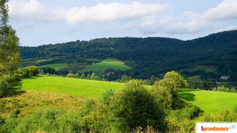 Działka budowlana Krynica-Zdrój sprzedam, pow. 1334 m2  (13.3a)