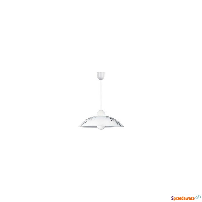 Lampa wisząca zwis Rabalux Bloomy 1x60W E27 b... - Lampy wiszące, żyrandole - Bydgoszcz