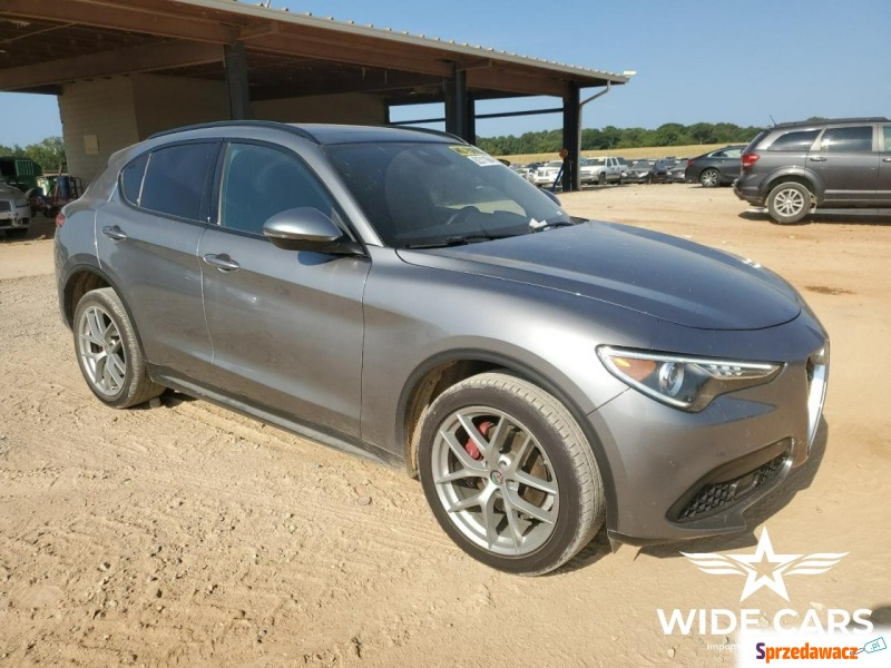 Alfa Romeo Stelvio  SUV 2018,  2.0 benzyna - Na sprzedaż za 49 600 zł - Sękocin Nowy