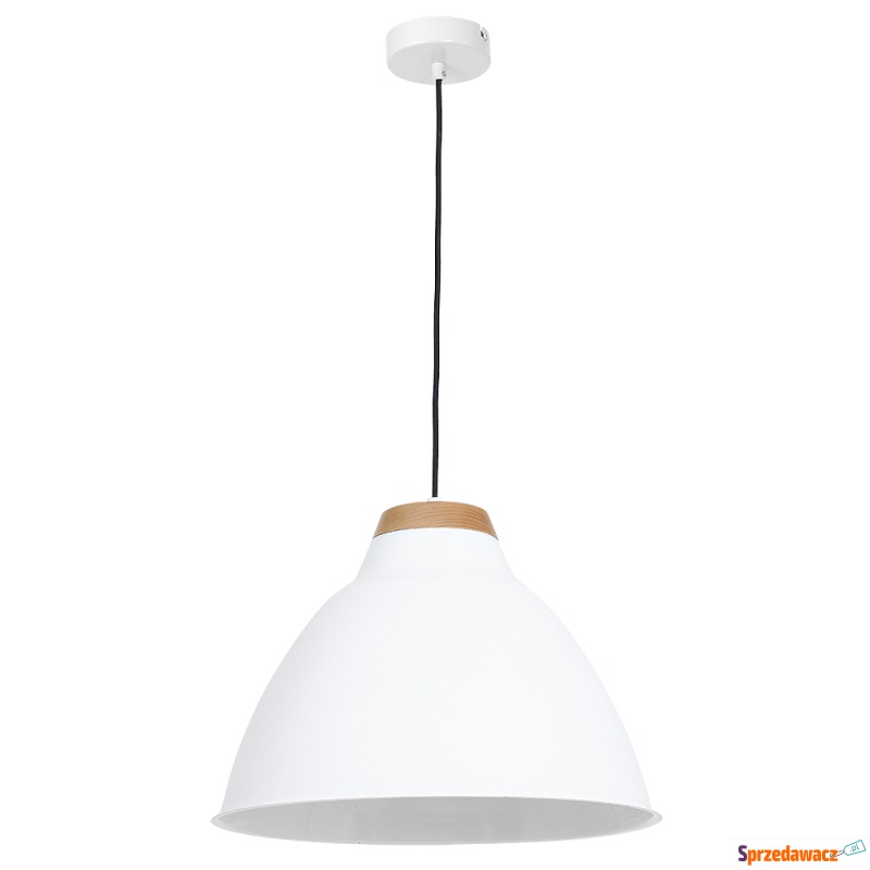 Lampa wisząca zwis żyrandol Luminex Skal 1x60W... - Lampy wiszące, żyrandole - Opole