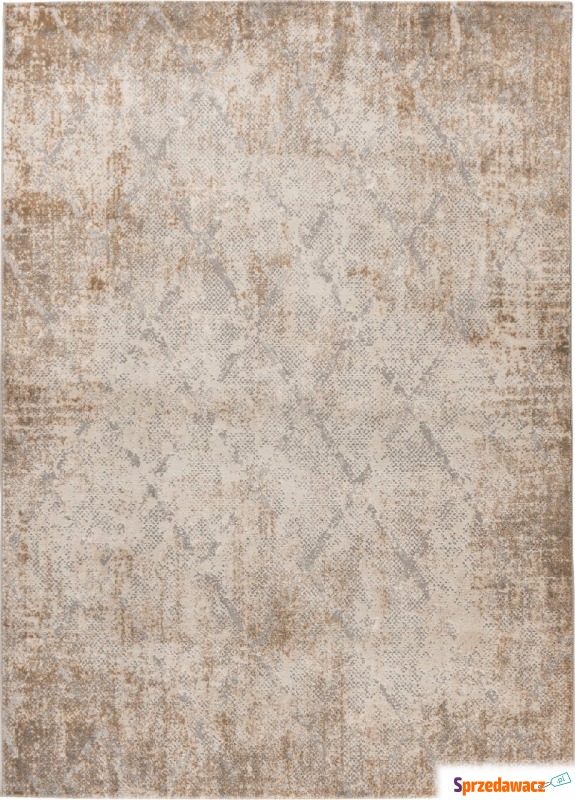 Dywan Salsa 694 120 x 170 cm taupe - Dywany, chodniki - Pruszków