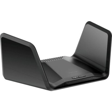 Netgear RAXE300-100EUS