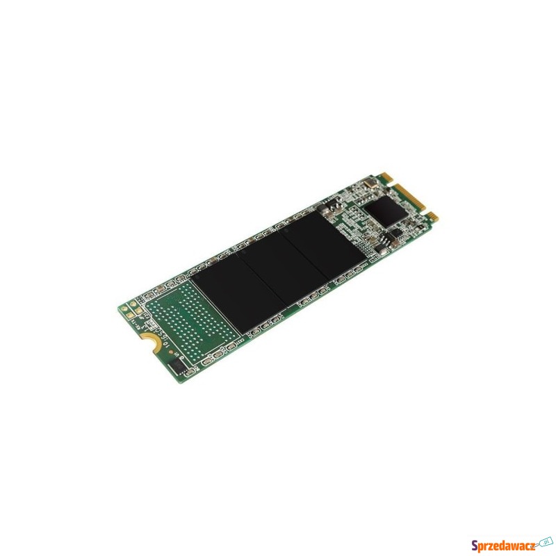 Dysk SSD Silicon Power Ace A55 256GB M.2 SATA... - Dyski twarde - Legnica