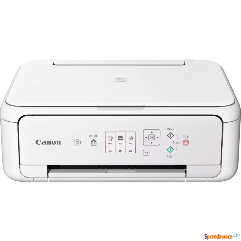 Kolorowa Canon Pixma TS5151 biała - Drukarki - Kędzierzyn-Koźle