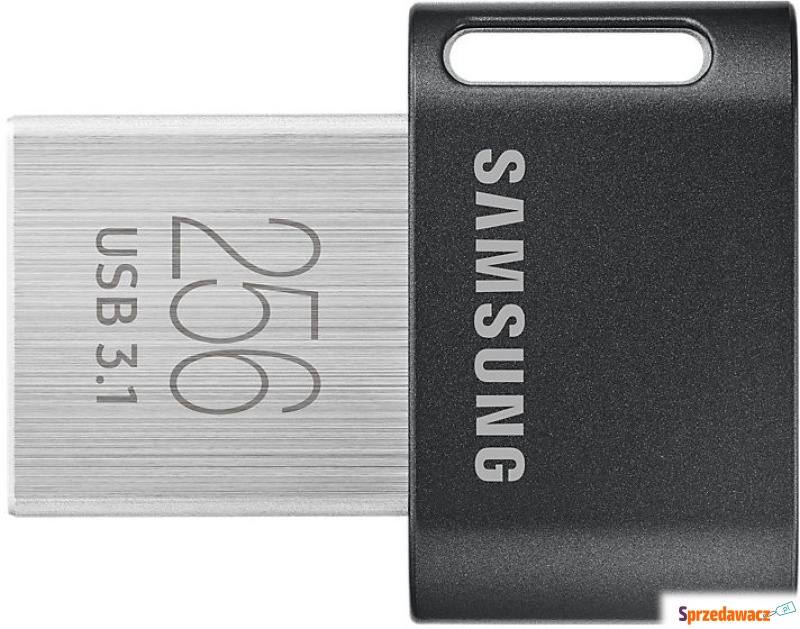 Samsung 256GB Fit Plus szary USB 3.1 - Pamięć flash (Pendrive) - Nysa