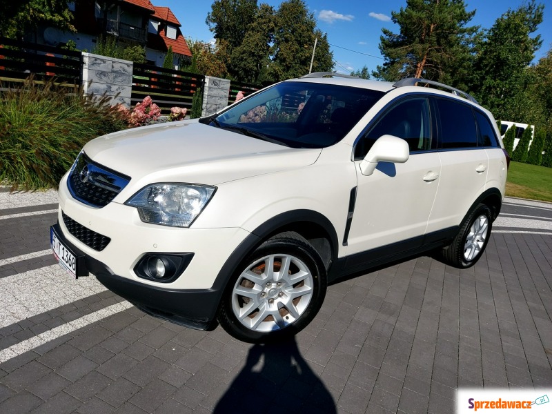 Opel Antara - navi  biała perła  2.2cdti - Samochody osobowe - Drelów