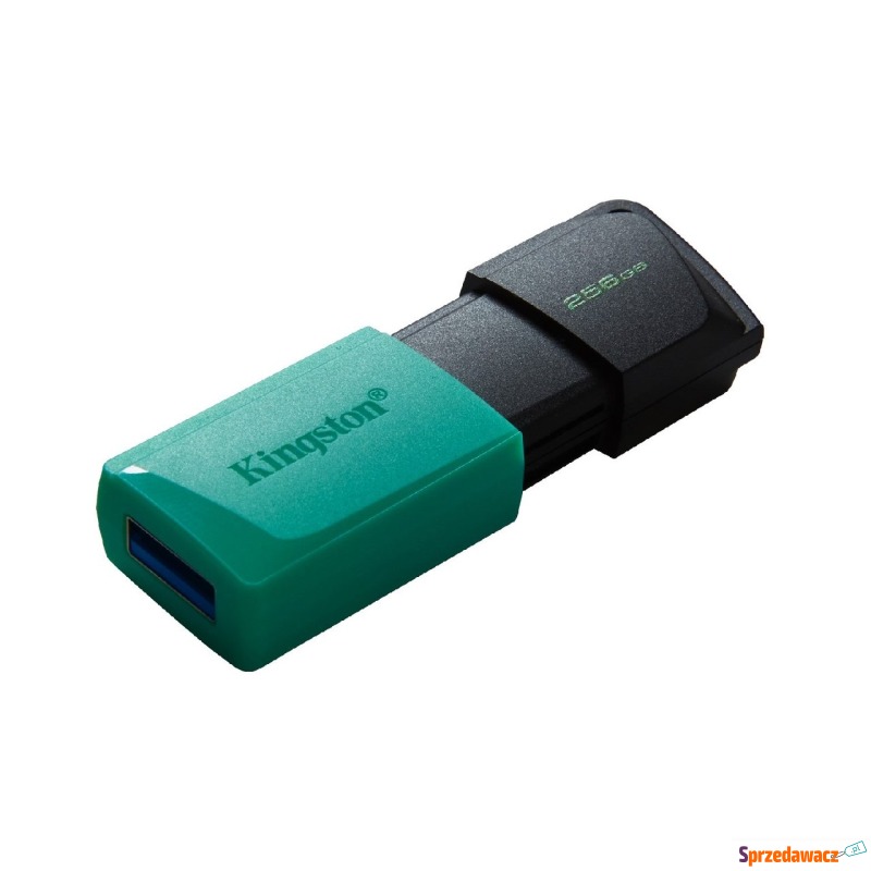 Kingston 256GB USB 3.2 Gen 1 DataTraveler Exodia... - Pamięć flash (Pendrive) - Lublin