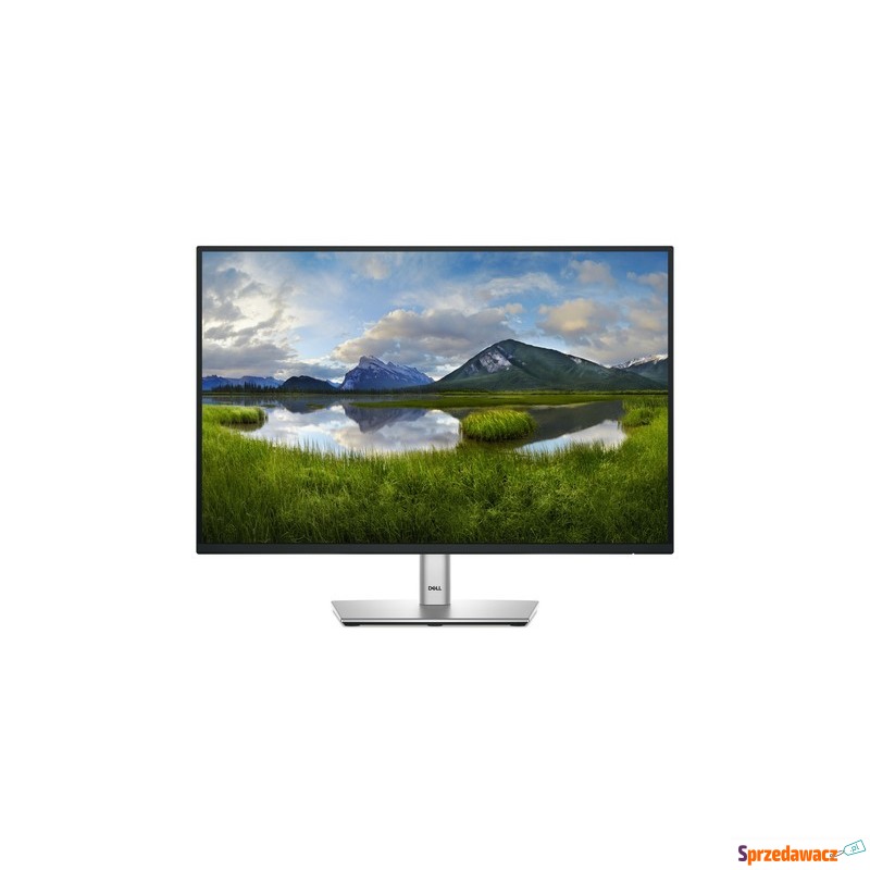 Dell P2425 - 24'' | IPS | WXGA | 100Hz - Monitory LCD i LED - Bytom