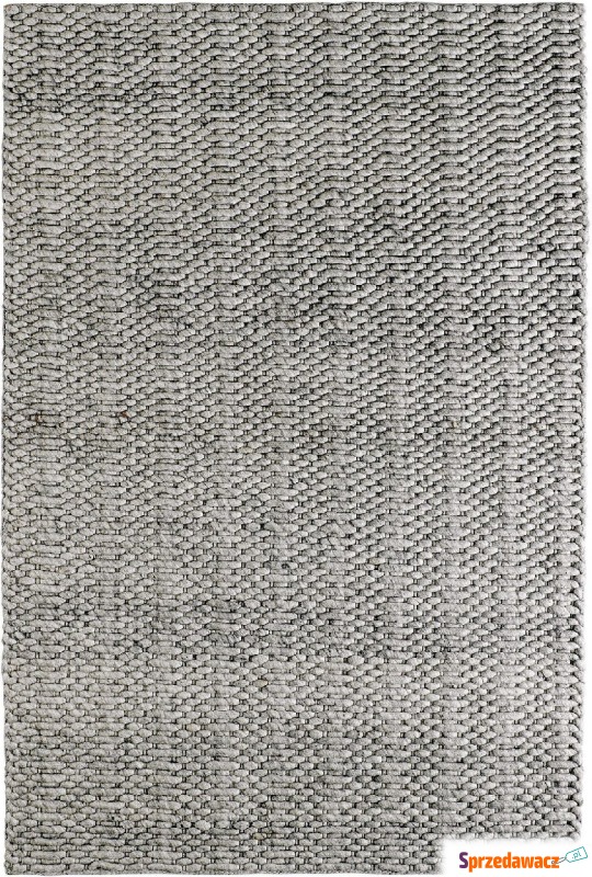 Dywan Forum silver 120 x 170 cm - Dywany, chodniki - Rzeszów