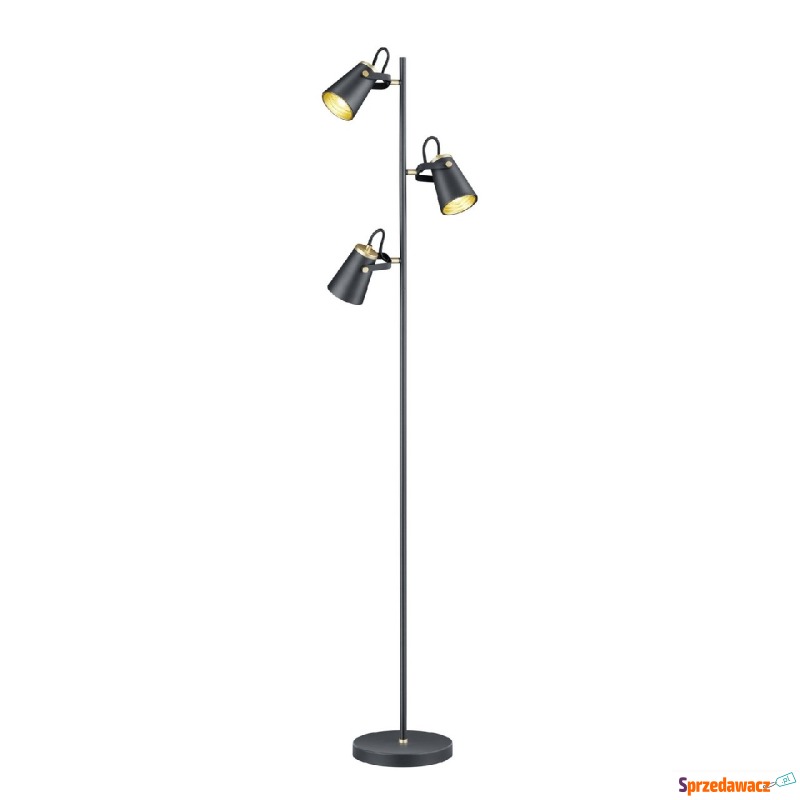 Trio Edward 408800332 lampa podłogowa stojąca... - Lampy stojące - Jelenia Góra