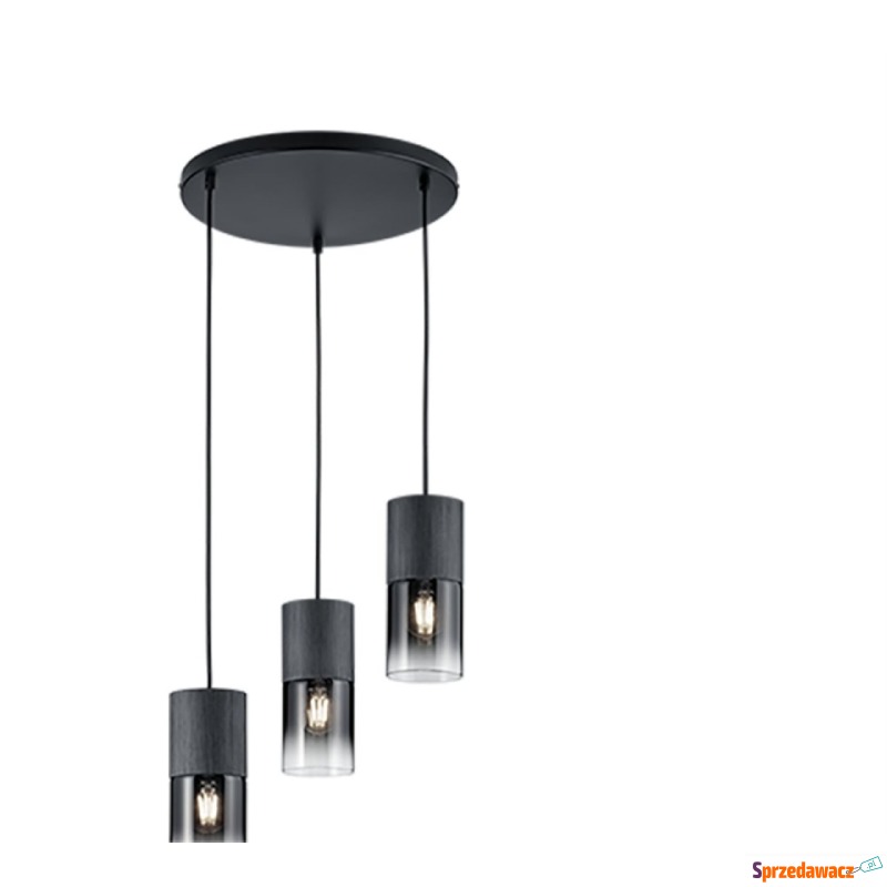 Trio Robin 310630332 lampa wisząca zwis 3x28W... - Lampy wiszące, żyrandole - Ostrowiec Świętokrzyski