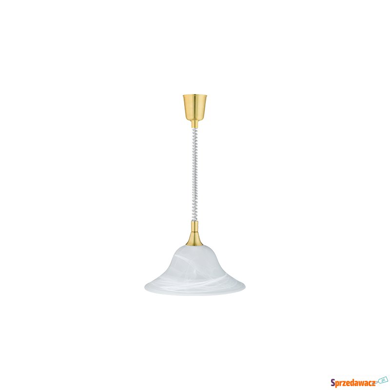 Trio Viola 301700108 lampa wisząca zwis 1x60W... - Lampy wiszące, żyrandole - Wrocław