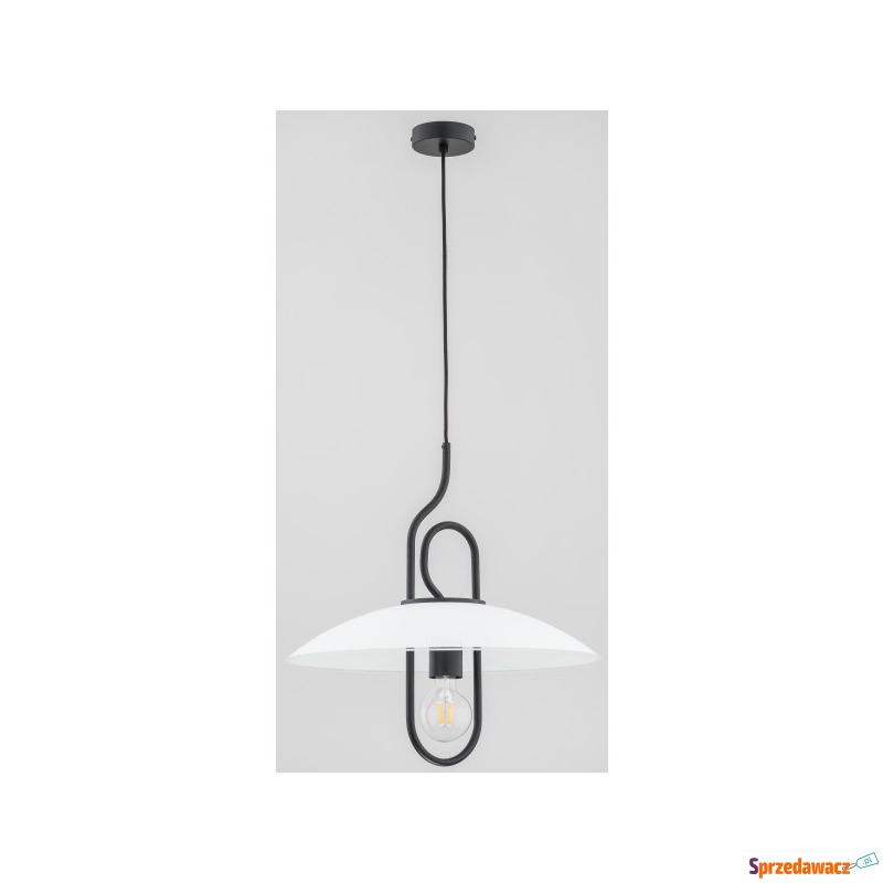 Alfa Chee 6062340 lampa wisząca zwis 1x60W E27... - Lampy wiszące, żyrandole - Kędzierzyn-Koźle