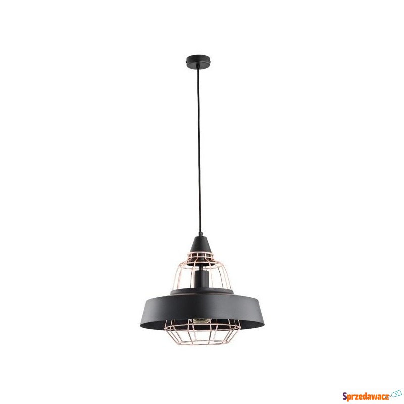 Alfa Tamaris 6037840/30 lampa wisząca zwis 1x60W... - Lampy wiszące, żyrandole - Szczecin