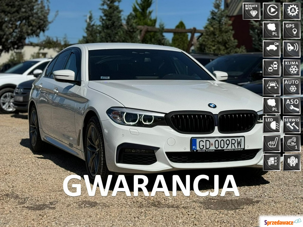 BMW Seria 5 2018