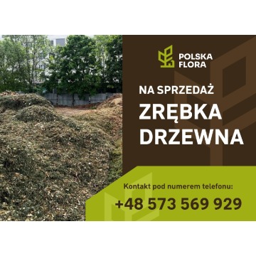 Zrębka drzewna naturalna